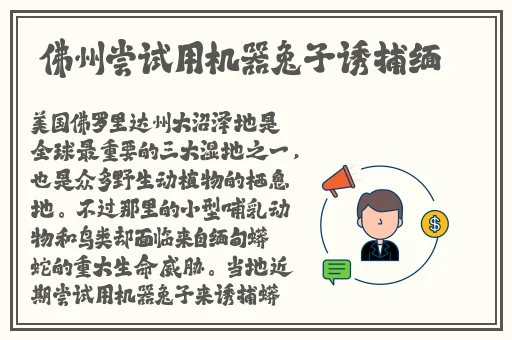 丝瓜香蕉向日葵草莓秋榴莲莲